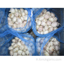 Loose Bag Normal ail blanc de 10kg